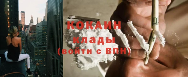 спайс Гусь-Хрустальный