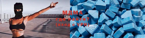спайс Гусь-Хрустальный