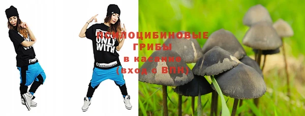 МДПВ Гусев