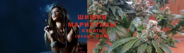 МДПВ Гусев