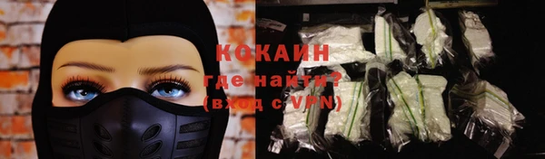 МДПВ Гусев
