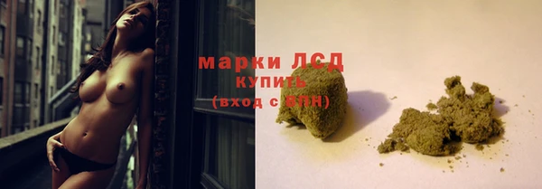 МДПВ Гусев