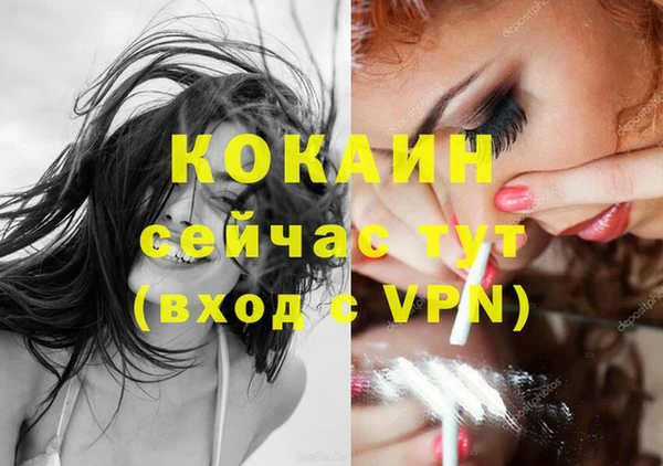 спайс Гусь-Хрустальный