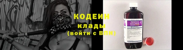 МДПВ Гусев