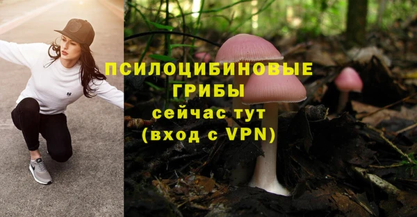 спайс Гусь-Хрустальный