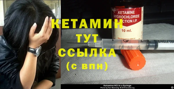 прущие грибы Каменка