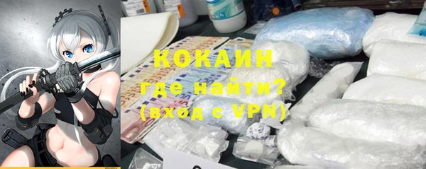 амф Дмитриев