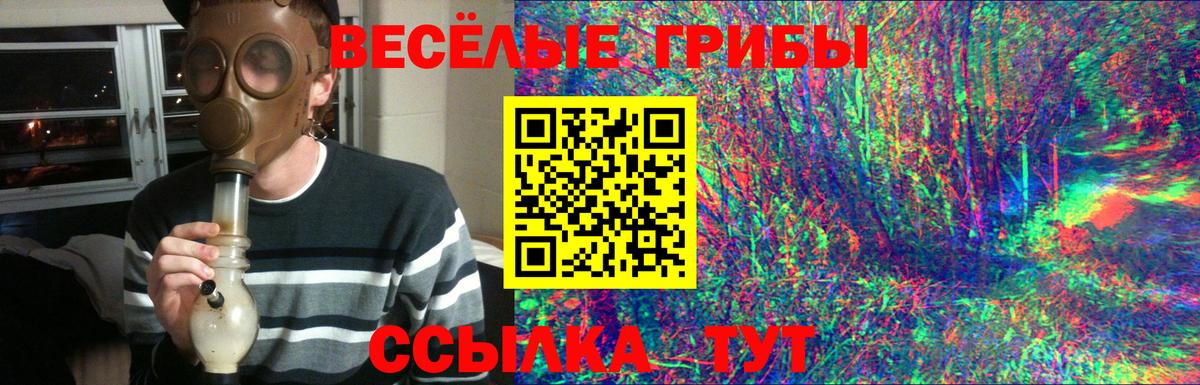 Галлюциногенные грибы Cubensis  Вход с VPN  Псилоцибиновые грибы мицелий  Таганрог 