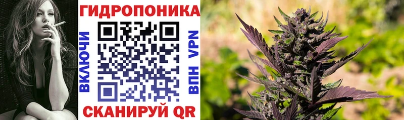 Канабис OG Kush  Таганрог 